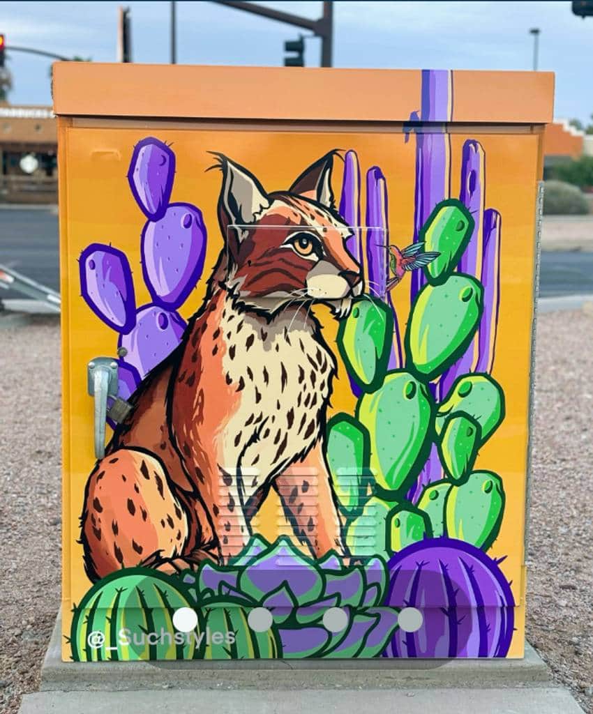 "Sonoran Desert Locals & Such" by Such Styles in Phoenix