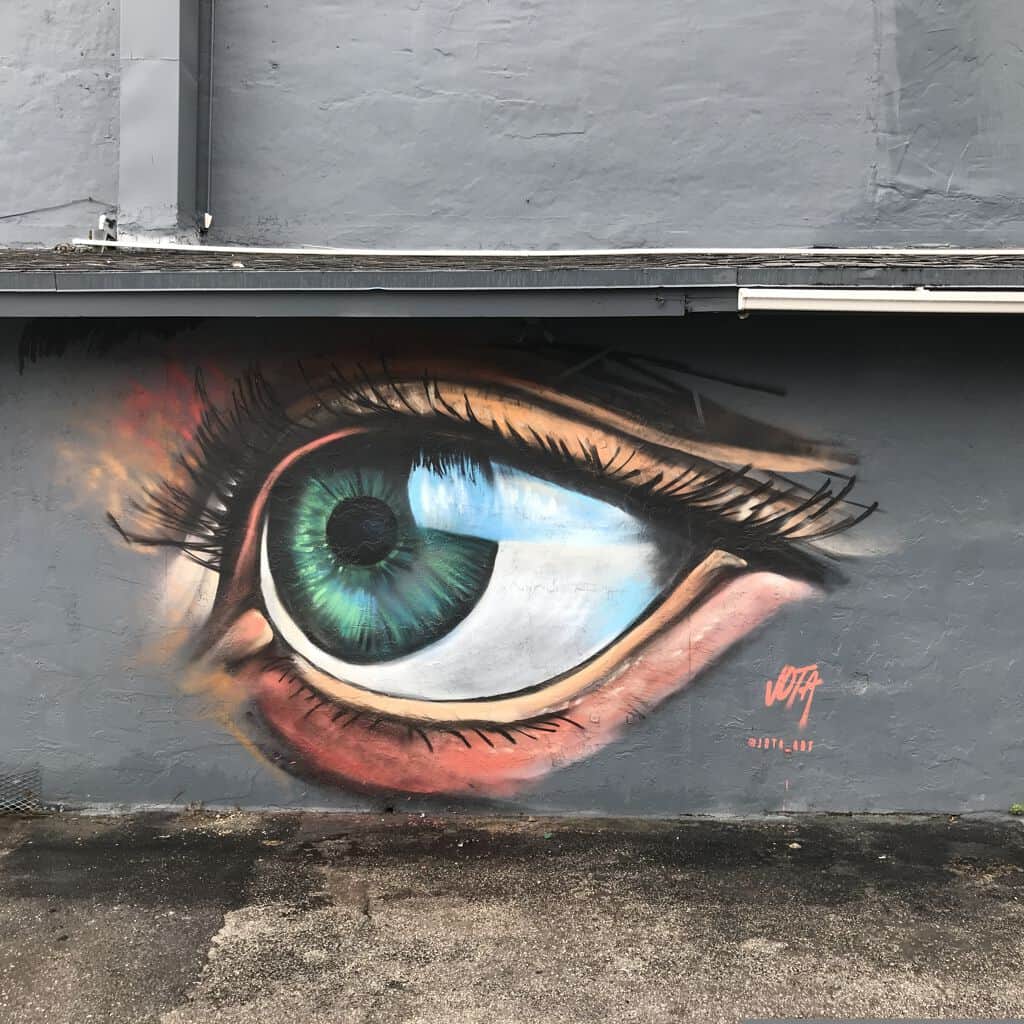 Untitled street art by Jota Villarreal in Miami