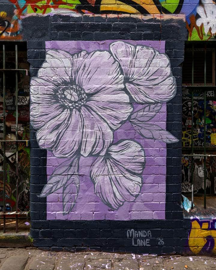 Untitled street art by Manda Lane in Melbourne