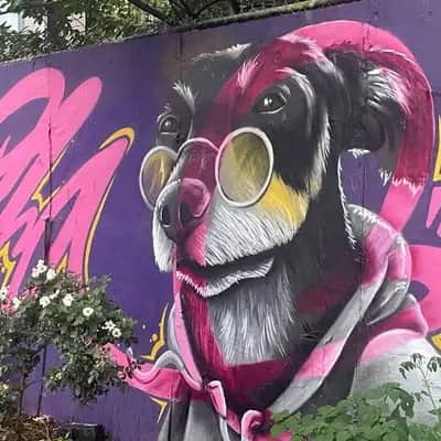 "dog with glasses" in New York