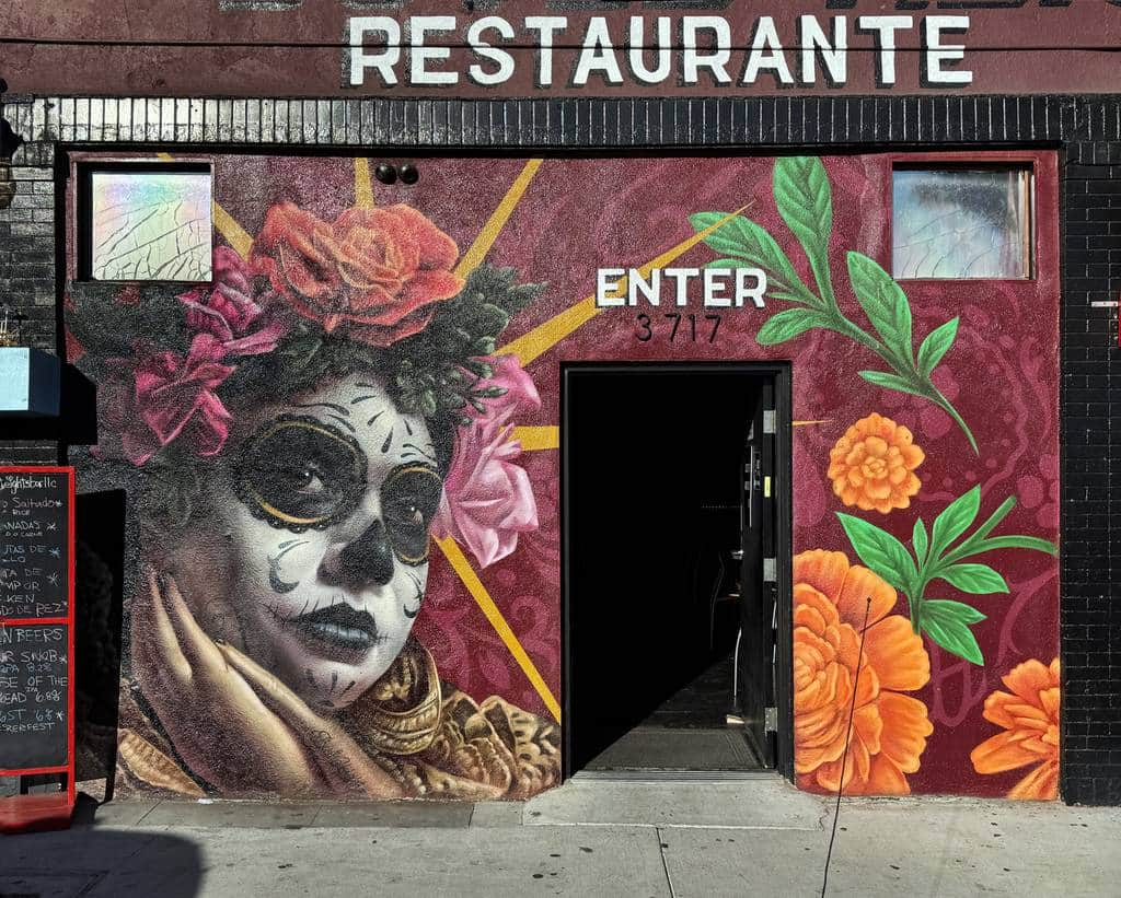 "Skull Face with Floral Crown" by Mister Toledo in Los Angeles