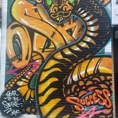 "Year of the snake. 2025 growth" in New York