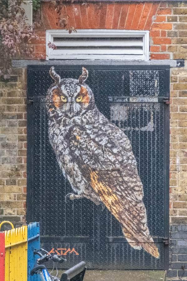 "Long Eared Owl" by ATM in London