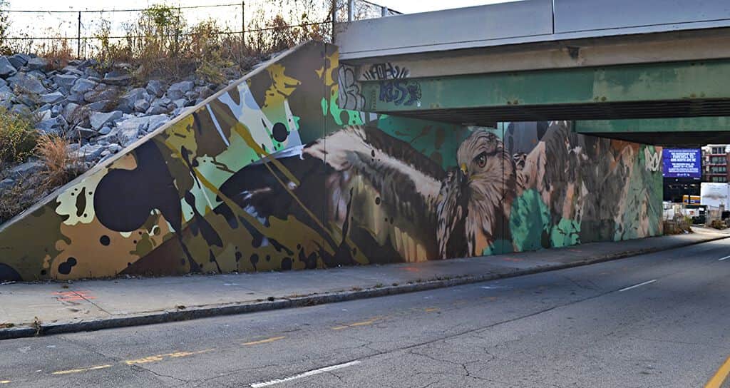 "Eagle Under Highway Bridge" by Arcy in Atlanta