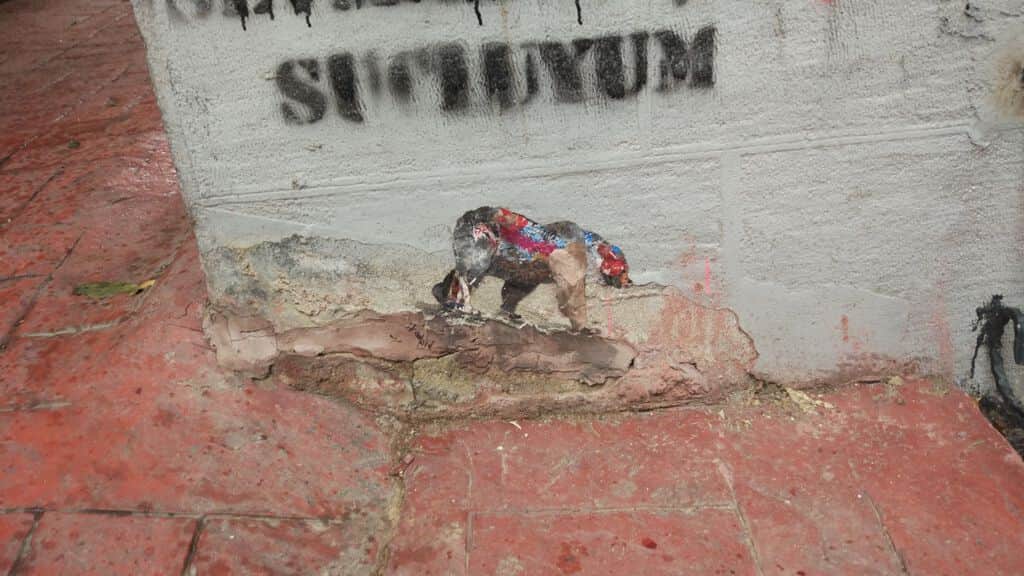 "Colorful Rat on Crumbling Wall" by Kaybid in Istanbul