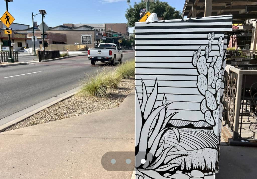 "Patterns From the Earth" by Lora Barnhiser in Phoenix