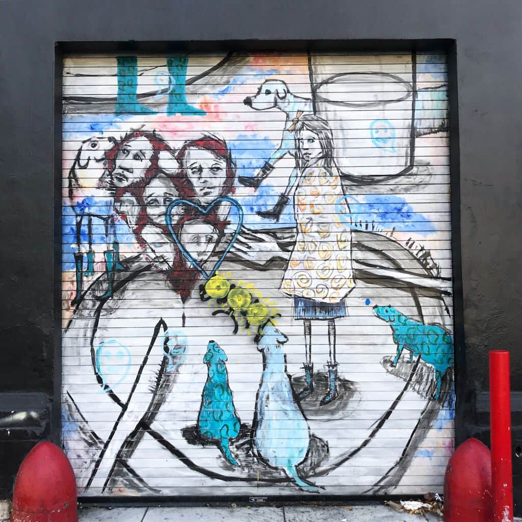 "Rainy Day Dogs" in San Francisco