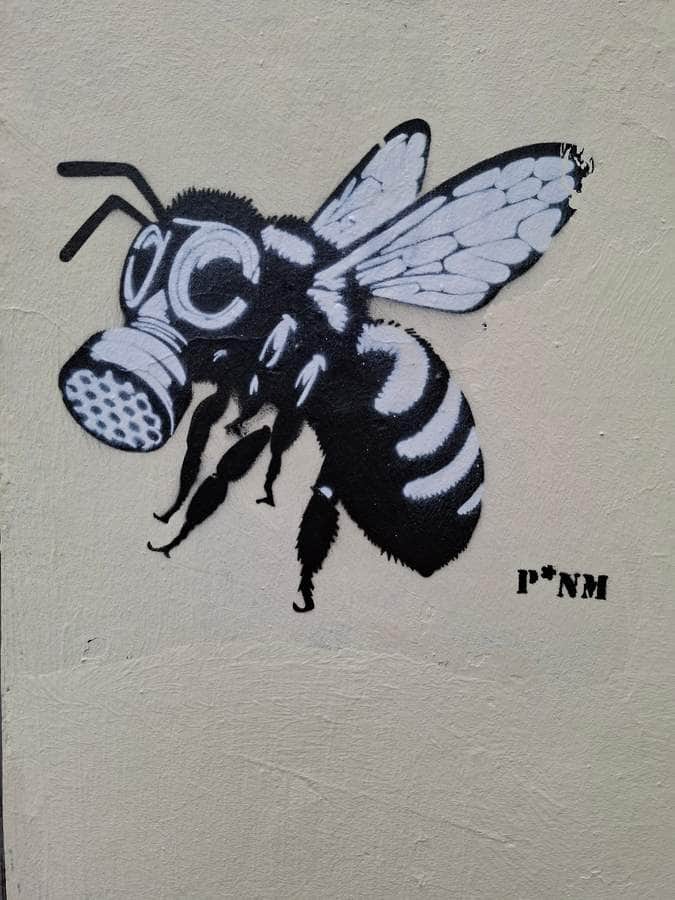 "No Future ?" by p*nm in Paris