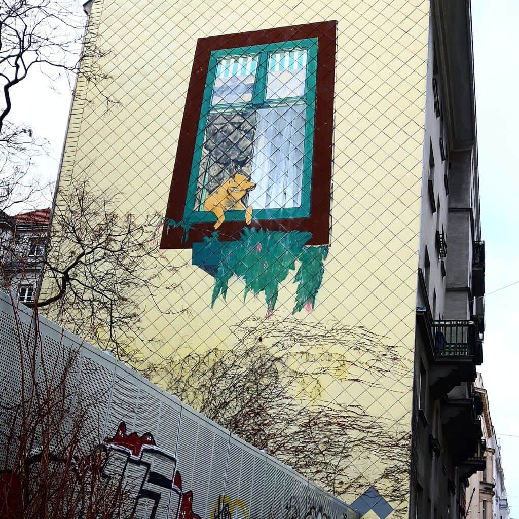 "Dog Gazing from Window" in Vienna