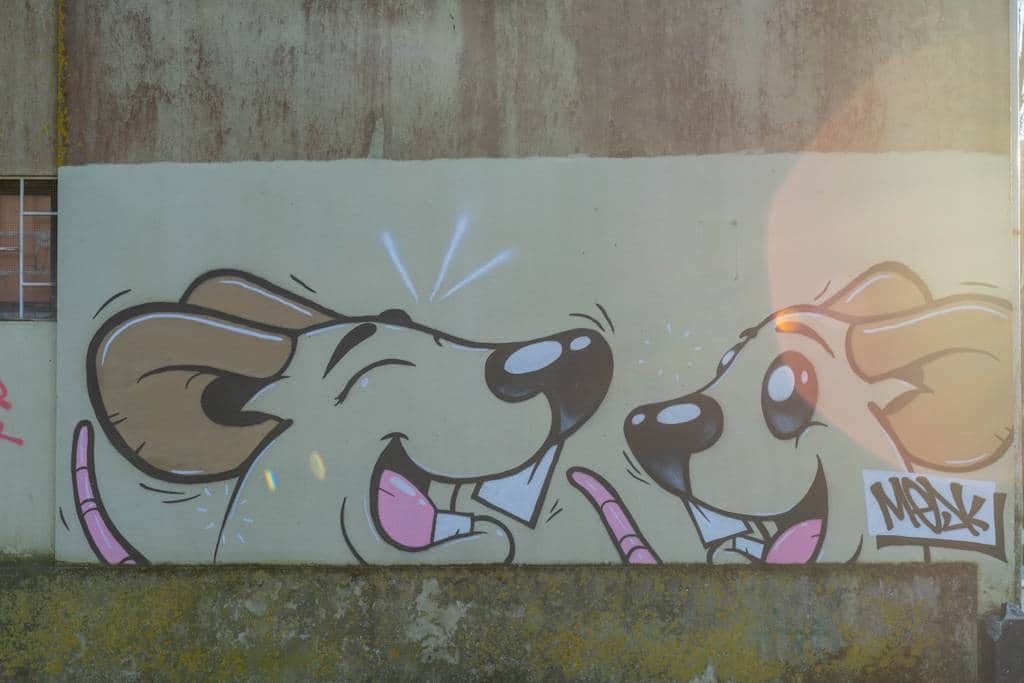Untitled street art by Mesk in Porto