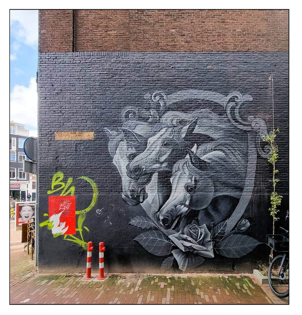 "Black Rose" by Wisekid in Amsterdam