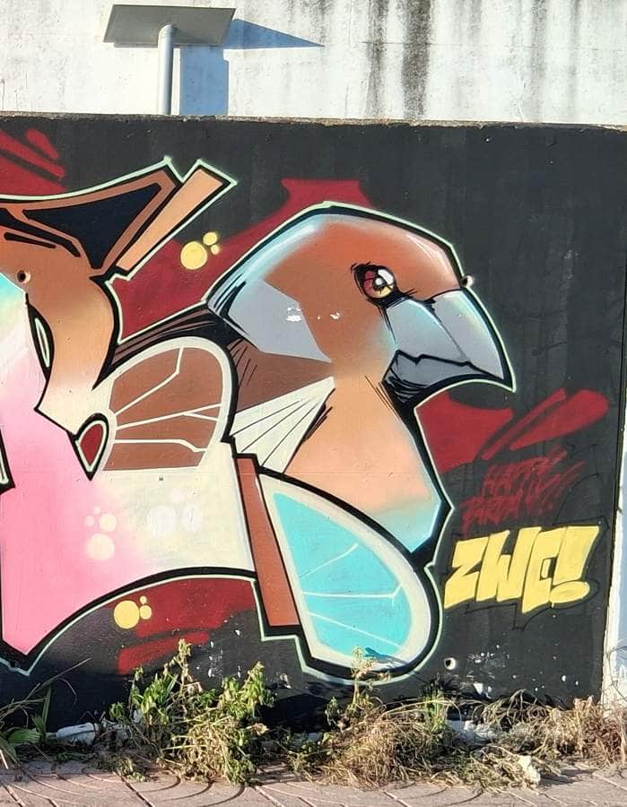 "Stylized Bird Head Graffiti" by Various Artists - Valencia in Valencia