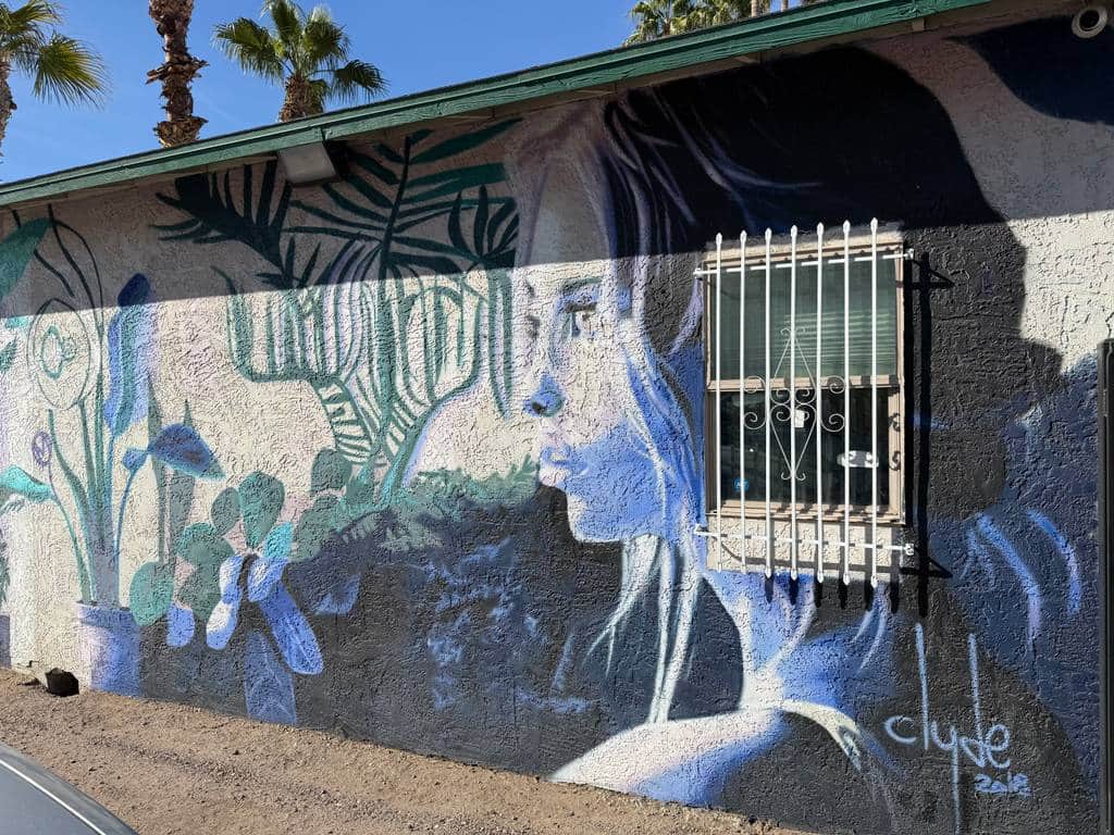 "Indooroutdoorindoor" by Clyde in Phoenix