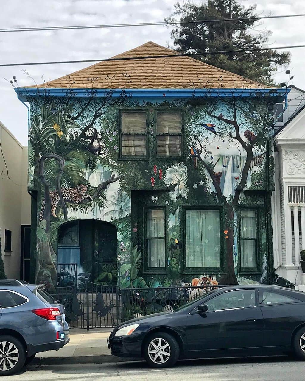 "Rainforest House" by Nicolai Larsen in San Francisco