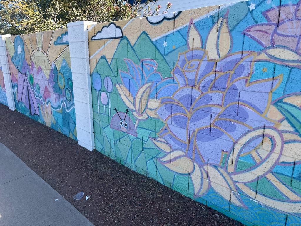 "Welcome to Willo" by Skye Lucking in Phoenix