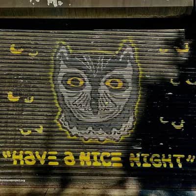 "Whiskered Screetch-Owl" by snoeman in New York