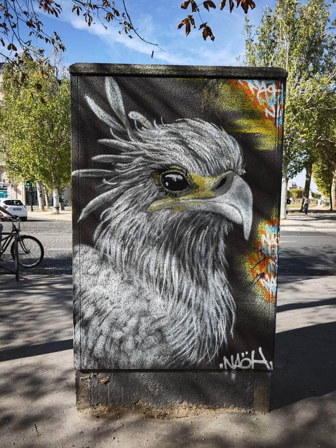 "Majestic Eagle Portrait" by Naoh in Paris
