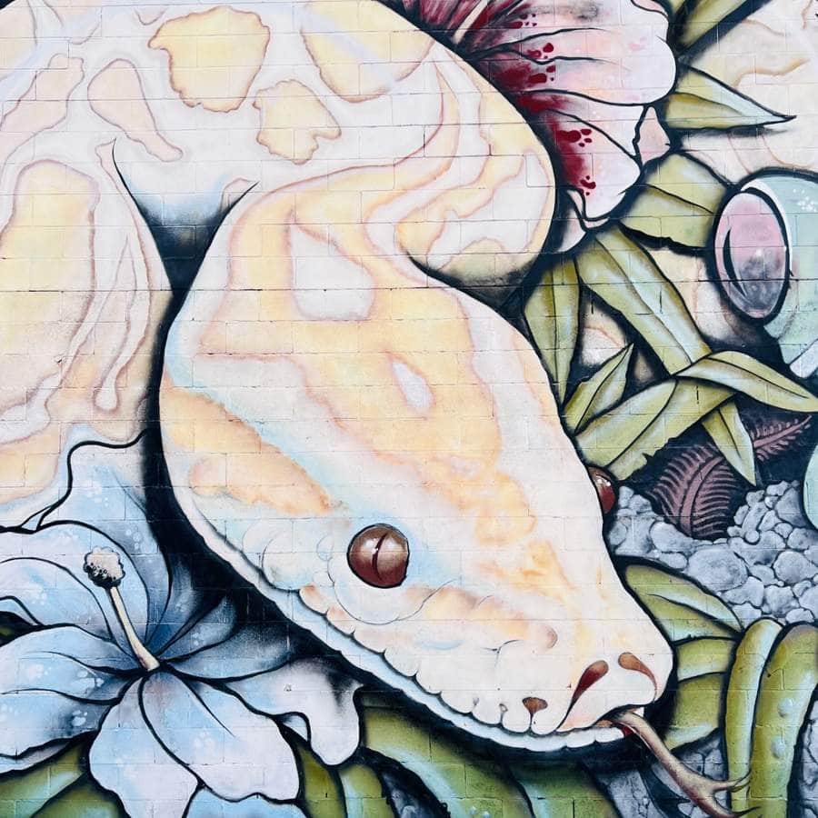 Untitled street art by RWSTXPROD in Austin