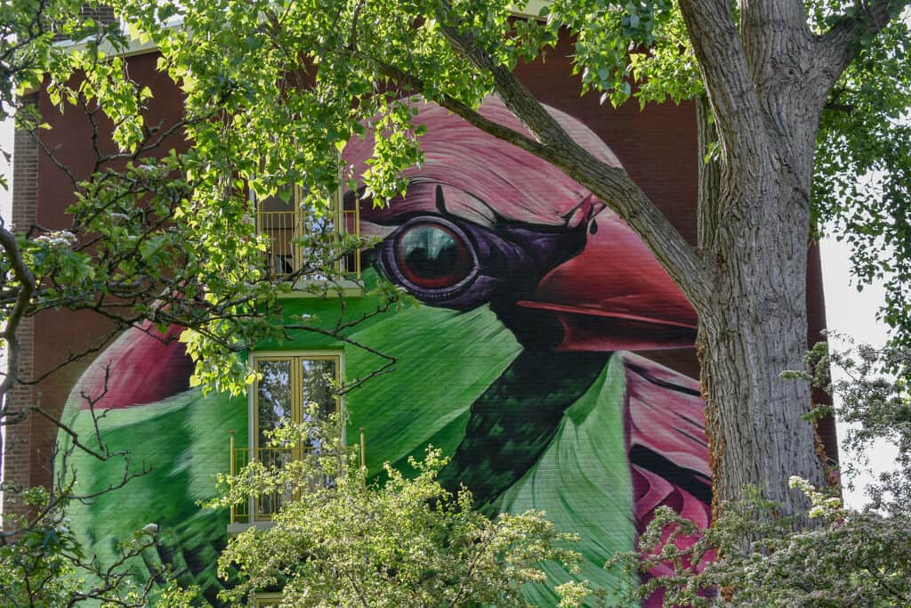 "Urban hybrid" by If Walls Could Speak in Amsterdam