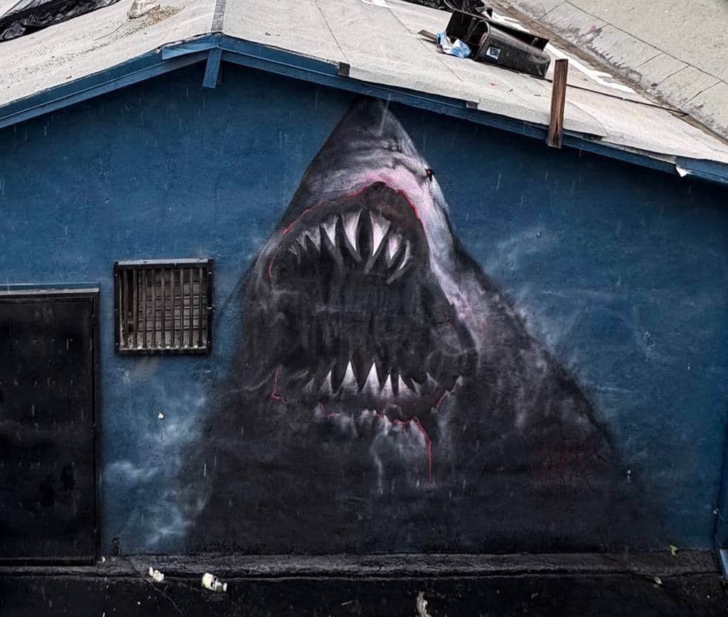 Untitled street art by Woes in Los Angeles