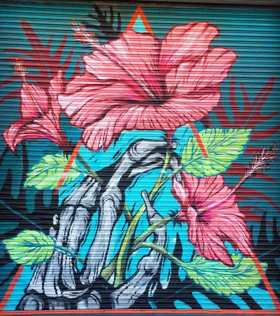 "Hibiscus" by David 'Meggs' Hooke in San Francisco