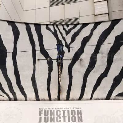 "Zebra Pattern Wall Mural" by Suzuki Hideharu in Tokyo