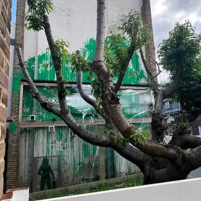 "Green Dripping Forest Mural" by Banksy in London