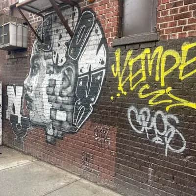 "The Bronx woman brain" by Oxyz_86 in New York