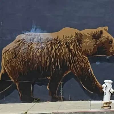 "California Bear" by Fnnch in San Francisco