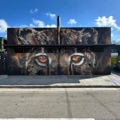 "DUMA" by Daniel Mac Lloyd in Miami