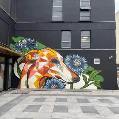 "Greyhound" by Fenz in Dublin