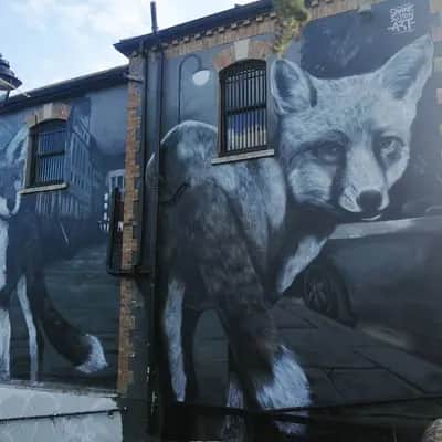 "CITY FOX" by Shane Sutton in Dublin