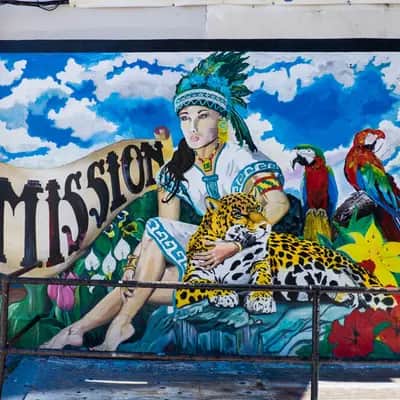 "Leopard of the Mission" in San Francisco