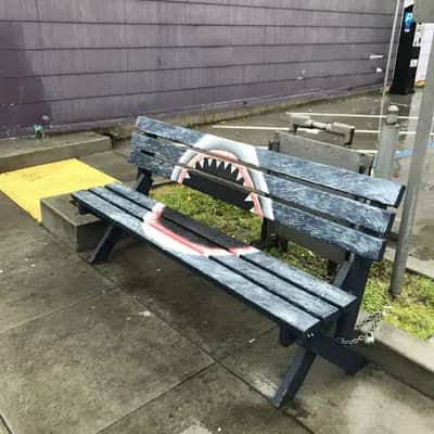 "Shark Bench" in San Francisco