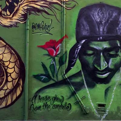 "2pac" by Emily Ferrell in San Francisco