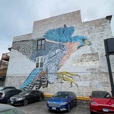 "Falcon" by Justin Suarez (Aerosol Kingdom) in Chicago