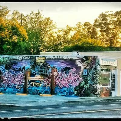 "Mixed Media Street Mural" in Sacramento