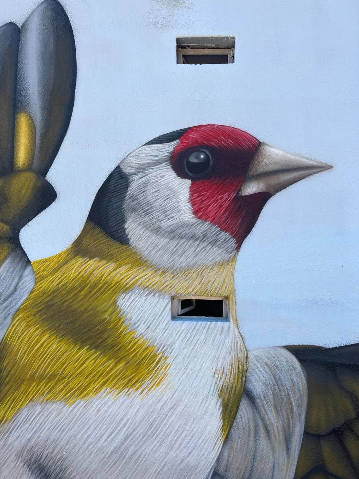 "Jilguero El Chollo" by Manuel Garcia Juan in Guardo