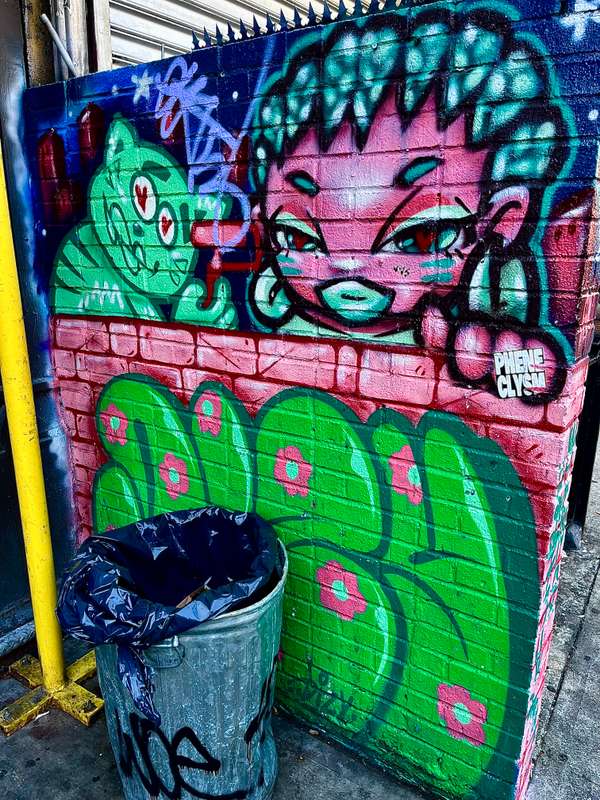 "Character Mural with Cactus" by Shiro in East Village, New York