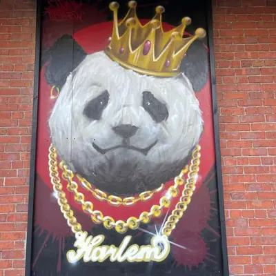 Panda King Harlem Portrait