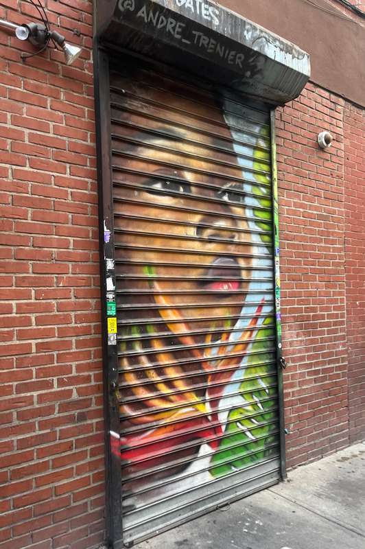 "Portrait on Rolling Gate" by Andre Trenier in Manhattan Community Board 11, New York