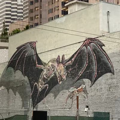 Skeletal Bat with Spread Wings