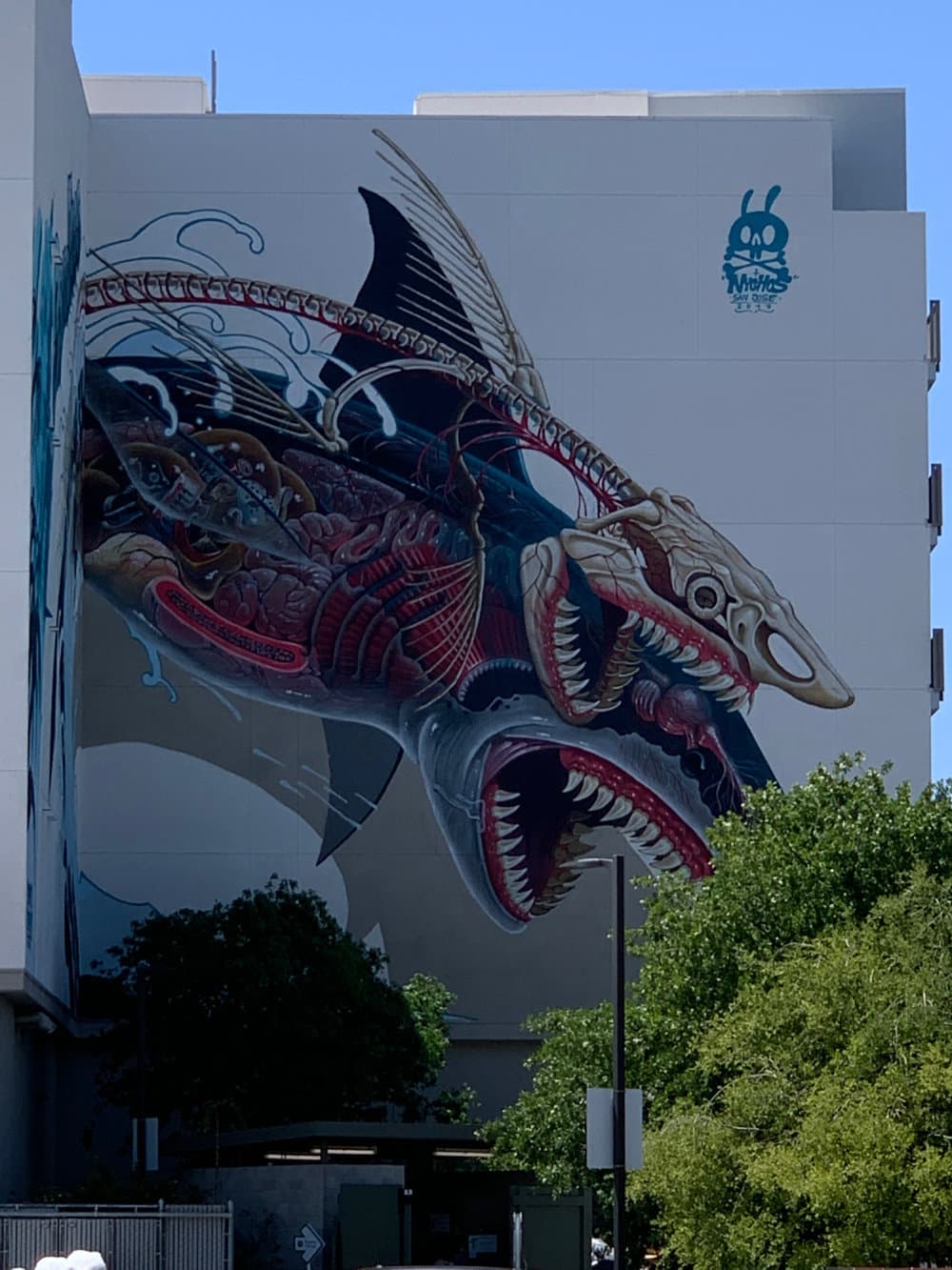 "Anatomical Shark Dissection Mural" by Nychos in Little Italy, San Jose