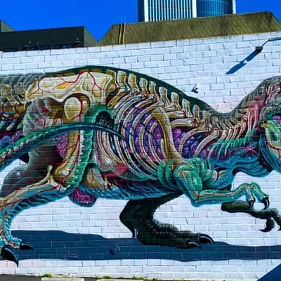Anatomical T-Rex Mural