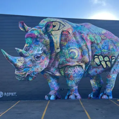 Rhino Rino