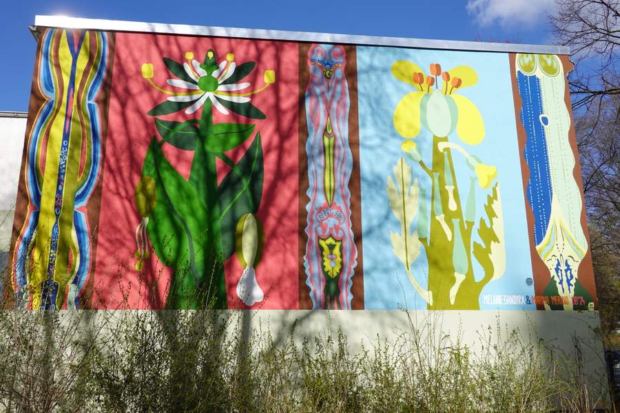 Art by Melanie Gandyra