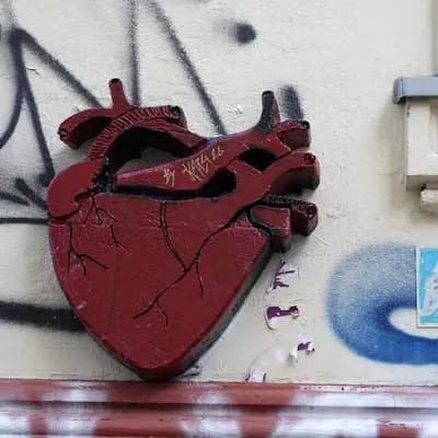 Heart
