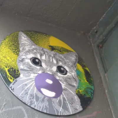 Cat Face with Purple Bubble