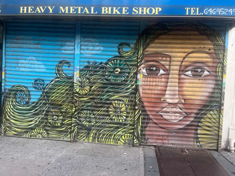 "Portrait with Flowing Hair" by Alice Mizrachi in East Harlem, New York