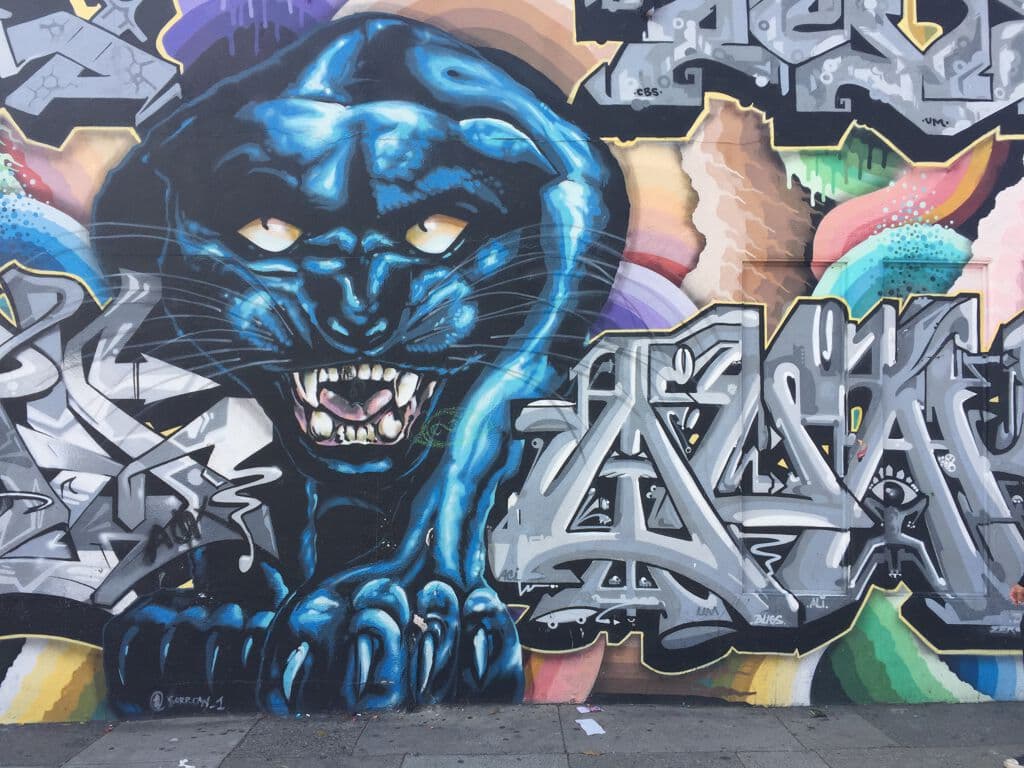 "Black panther" in Cole Valley, San Francisco